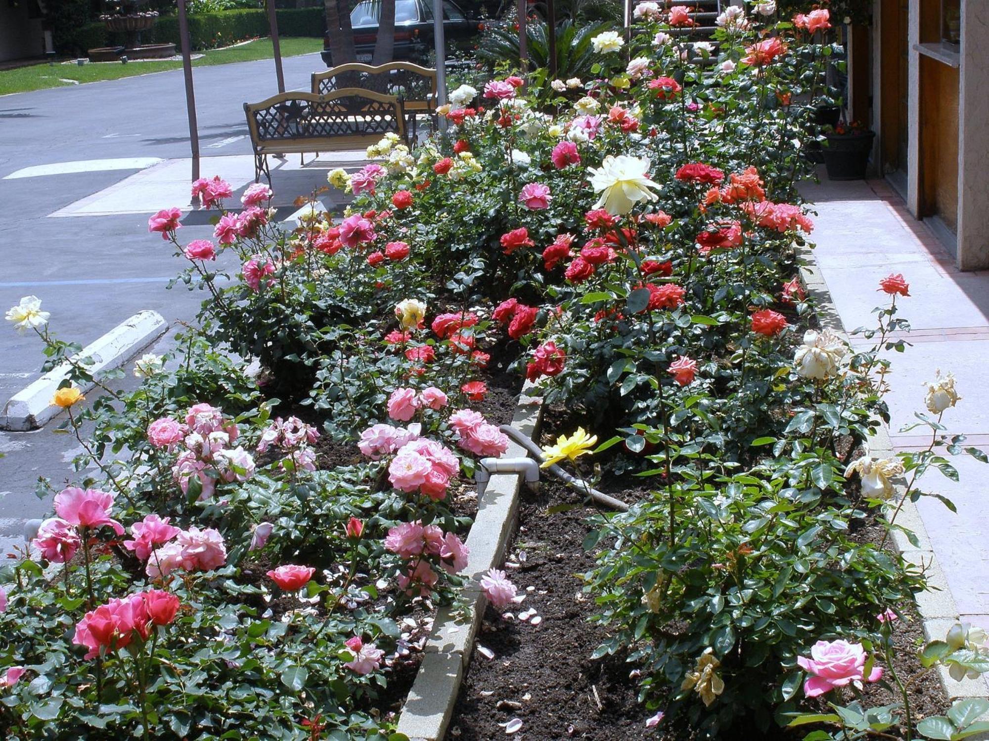 Garden Inn And Suites Glendora Dış mekan fotoğraf